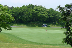 제주 컨트리클럽 - 골프장 이미지