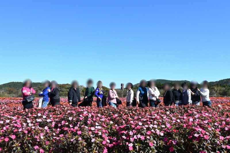 jeju-family-tour.jpg